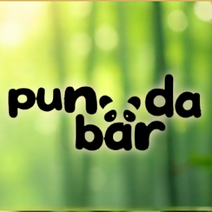 Pun da Bear
